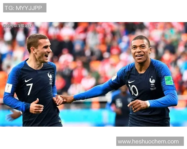 法国足球明星bizd的传奇之路与辉煌成就全解析